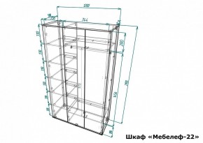 Шкаф платяной Мебелеф-22 в Копейске - kopejsk.mebel24.online | фото 7