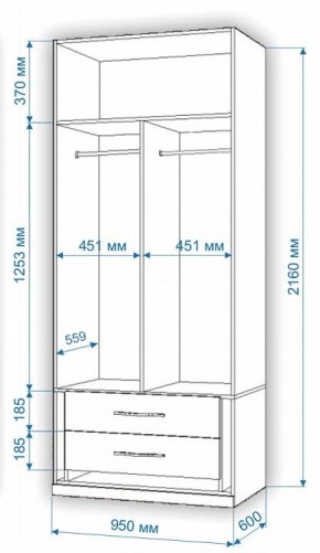 Шкаф платяной Нобиле Пл-95/60 в Копейске - kopejsk.mebel24.online | фото 2