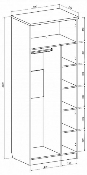 Шкаф платяной Виктория ВИ-11 в Копейске - kopejsk.mebel24.online | фото 3