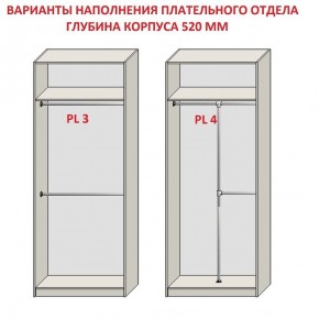 Шкаф распашной серия «ЗЕВС» (PL3/С1/PL2) в Копейске - kopejsk.mebel24.online | фото 10