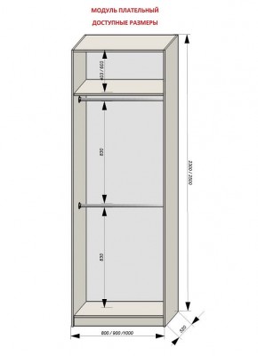 Шкаф распашной серия «ЗЕВС» (PL3/С1/PL2) в Копейске - kopejsk.mebel24.online | фото 12