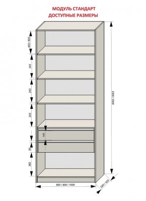 Шкаф распашной серия «ЗЕВС» (PL3/С1/PL2) в Копейске - kopejsk.mebel24.online | фото 13