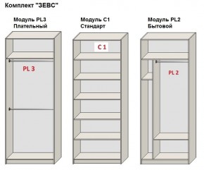 Шкаф распашной серия «ЗЕВС» (PL3/С1/PL2) в Копейске - kopejsk.mebel24.online | фото 2