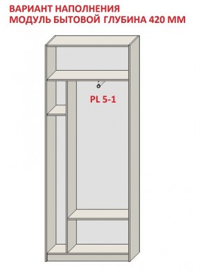 Шкаф распашной серия «ЗЕВС» (PL3/С1/PL2) в Копейске - kopejsk.mebel24.online | фото 4