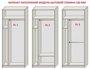 Шкаф распашной серия «ЗЕВС» (PL3/С1/PL2) в Копейске - kopejsk.mebel24.online | фото 5