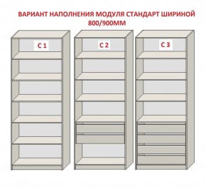 Шкаф распашной серия «ЗЕВС» (PL3/С1/PL2) в Копейске - kopejsk.mebel24.online | фото 6