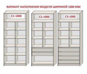 Шкаф распашной серия «ЗЕВС» (PL3/С1/PL2) в Копейске - kopejsk.mebel24.online | фото 7