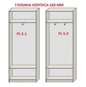 Шкаф распашной серия «ЗЕВС» (PL3/С1/PL2) в Копейске - kopejsk.mebel24.online | фото 8