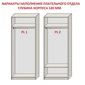 Шкаф распашной серия «ЗЕВС» (PL3/С1/PL2) в Копейске - kopejsk.mebel24.online | фото 9