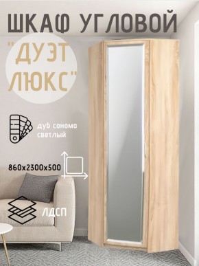 Шкаф угловой Дуэт Люкс с зеркалом в Копейске - kopejsk.mebel24.online | фото