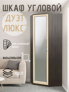 Шкаф угловой Дуэт Люкс с зеркалом в Копейске - kopejsk.mebel24.online | фото 5