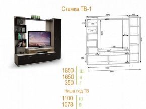 Стенка для гостиной ТВ-1 в Копейске - kopejsk.mebel24.online | фото 2