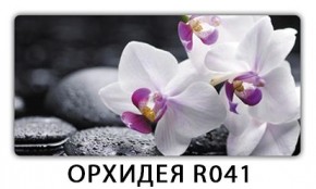 Стол Бриз с фотопечатью Лайм R156 в Копейске - kopejsk.mebel24.online | фото 10