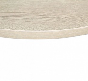 Стол обеденный SHT-TU43/TT в Копейске - kopejsk.mebel24.online | фото 3