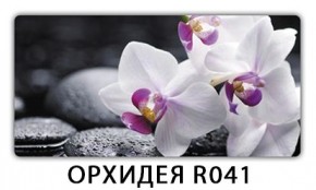 Стол обеденный Трилогия с фотопечатью Орхидея R041 в Копейске - kopejsk.mebel24.online | фото 7