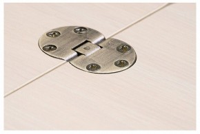 Стол-трансформер Престиж в Копейске - kopejsk.mebel24.online | фото 10