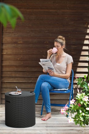 Столик-холодильник Кул-Стул (Cool stool) коричневый в Копейске - kopejsk.mebel24.online | фото 2
