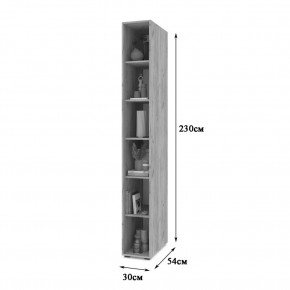 СТОУН С10 Пенал-стеллаж (дуб серый) в Копейске - kopejsk.mebel24.online | фото 2