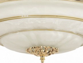 Светильник на штанге Arti Lampadari Pavia Pavia E 1.13.P40 G в Копейске - kopejsk.mebel24.online | фото 3