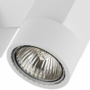 Светильник на штанге Lightstar Illumo X2 051036 в Копейске - kopejsk.mebel24.online | фото 2