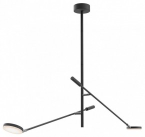 Светильник на штанге Maytoni Fad MOD070CL-L15B3K1 в Копейске - kopejsk.mebel24.online | фото