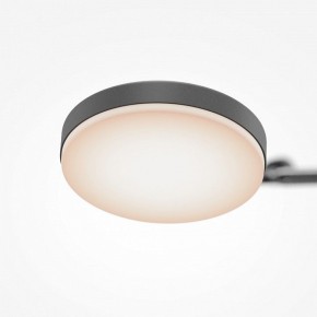 Светильник на штанге Maytoni Fad MOD070CL-L15B3K1 в Копейске - kopejsk.mebel24.online | фото 7