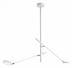 Светильник на штанге Maytoni Fad MOD070CL-L15W3K1 в Копейске - kopejsk.mebel24.online | фото