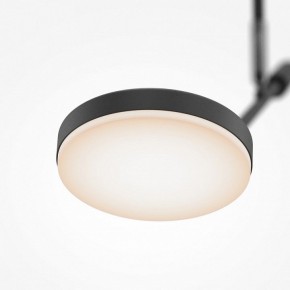 Светильник на штанге Maytoni Fad MOD070CL-L8B3K в Копейске - kopejsk.mebel24.online | фото 4