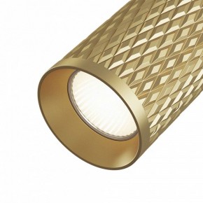 Светильник на штанге Maytoni Focus Design TR011-1-GU10-G в Копейске - kopejsk.mebel24.online | фото 3