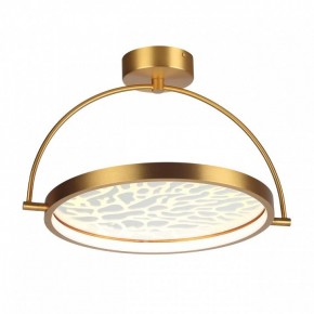 Светильник на штанге Odeon Light Solaris 6627/36CL в Копейске - kopejsk.mebel24.online | фото 3