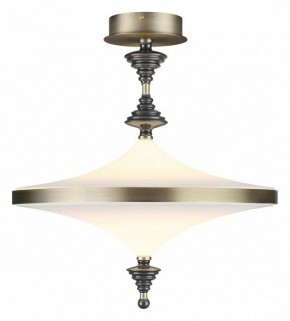 Светильник на штанге Odeon Light Ula 5404/43CL в Копейске - kopejsk.mebel24.online | фото 2
