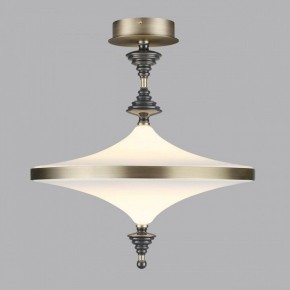 Светильник на штанге Odeon Light Ula 5404/43CL в Копейске - kopejsk.mebel24.online | фото 3