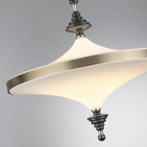 Светильник на штанге Odeon Light Ula 5404/43CL в Копейске - kopejsk.mebel24.online | фото 6