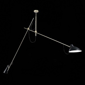 Светильник на штанге ST-Luce Jarro SL1803.203.02 в Копейске - kopejsk.mebel24.online | фото 3
