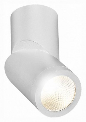 Светильник на штанге ST-Luce ST650 ST650.542.10 в Копейске - kopejsk.mebel24.online | фото 3