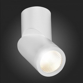 Светильник на штанге ST-Luce ST650 ST650.542.10 в Копейске - kopejsk.mebel24.online | фото 6