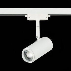 Светильник на штанге ST-Luce Zoom ST600.546.12 в Копейске - kopejsk.mebel24.online | фото 5