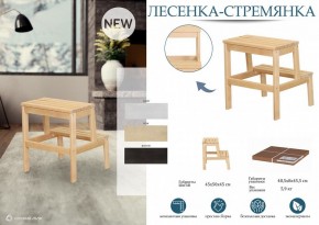 Табурет Стремянка в Копейске - kopejsk.mebel24.online | фото 4