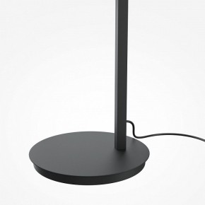 Торшер Maytoni Emphaty MOD363FL-L14B3K в Копейске - kopejsk.mebel24.online | фото 5