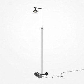 Торшер Maytoni Pikant MOD372FL-L10B3K в Копейске - kopejsk.mebel24.online | фото 2