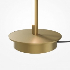 Торшер Maytoni Thin MOD395FL-L28BS3K в Копейске - kopejsk.mebel24.online | фото 7