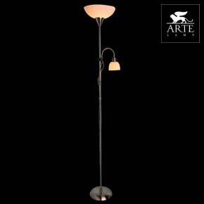 Торшер с подсветкой Arte Lamp Duetto A9569PN-2SS в Копейске - kopejsk.mebel24.online | фото 3