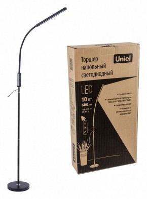 Торшер Uniel ULM-T619 UL-00010178 в Копейске - kopejsk.mebel24.online | фото 2
