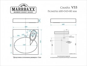 Умывальник над стиральной машиной (600*545*80) Смайл V55D1 (белый) с кронштейном без сифона (V55D1) в Копейске - kopejsk.mebel24.online | фото 2