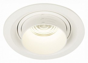 Встраиваемый светильник ST-Luce Zoom ST701.548.12 в Копейске - kopejsk.mebel24.online | фото 2