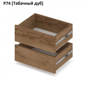 РОЛАНД Выдвижные ящики  Р76 в Копейске - kopejsk.mebel24.online | фото 10